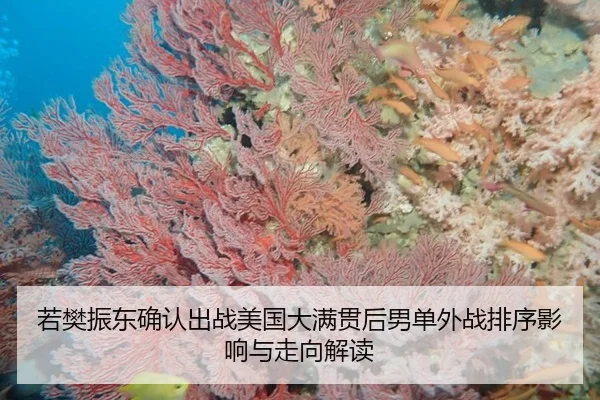 ruo-fan-zhen-dong-que-ren-chu-zhan-mei-guo-da-man-guan-hou-nan-dan-wai-zhan-pai-xu-ying-xiang-yu-zou-xiang-jie-du-2-175.jpg